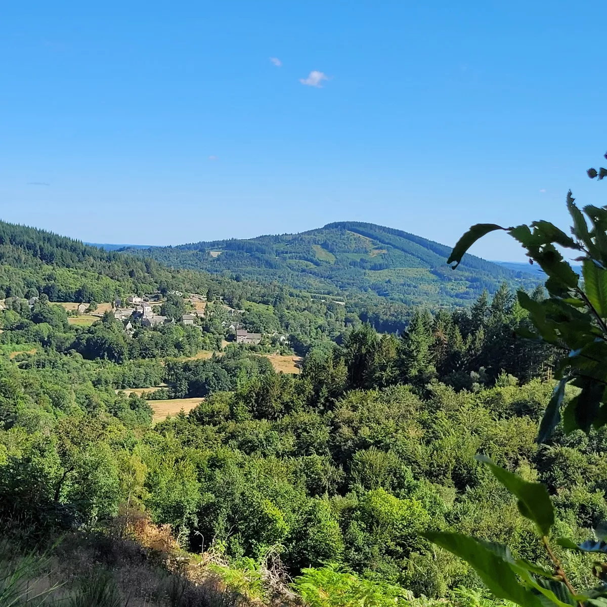 Photo de Nicole FONTALIRAND